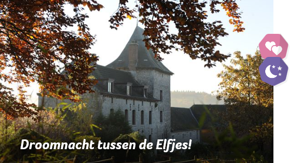 DROOMNACHT TUSSEN DE ELFJES!